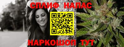 дживик Тулун