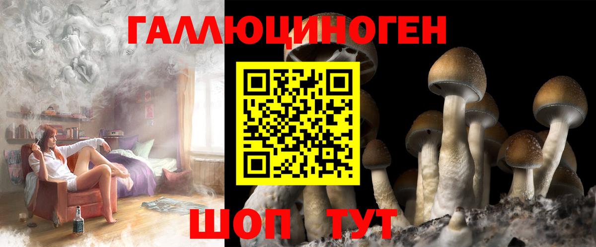 Псилоцибиновые грибы GOLDEN TEACHER  Вход с VPN  Ливны 